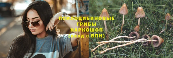 мяу мяу мука Алексин