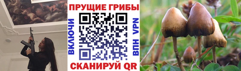 Галлюциногенные грибы мухоморы  Сосенский 