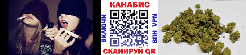 Конопля индика Сосенский
